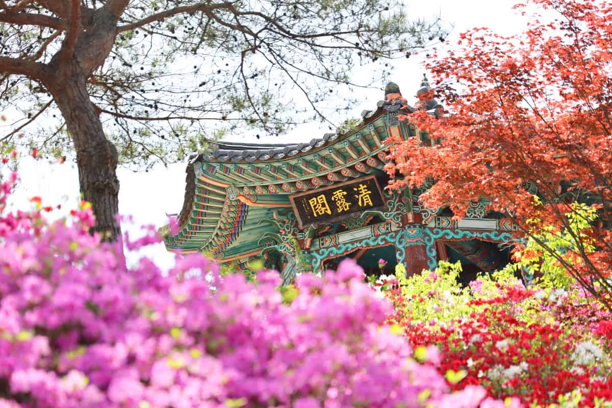 척야산 문화수목원 척야산 문화수목원