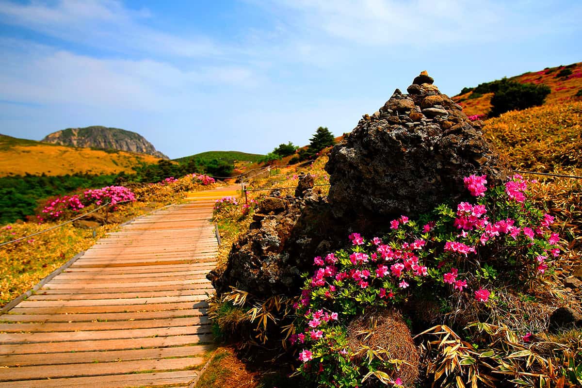 한라산 등산로 한라산 등산로