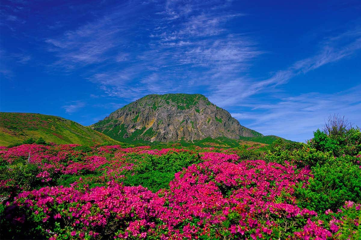 한라산 전경 한라산 전경