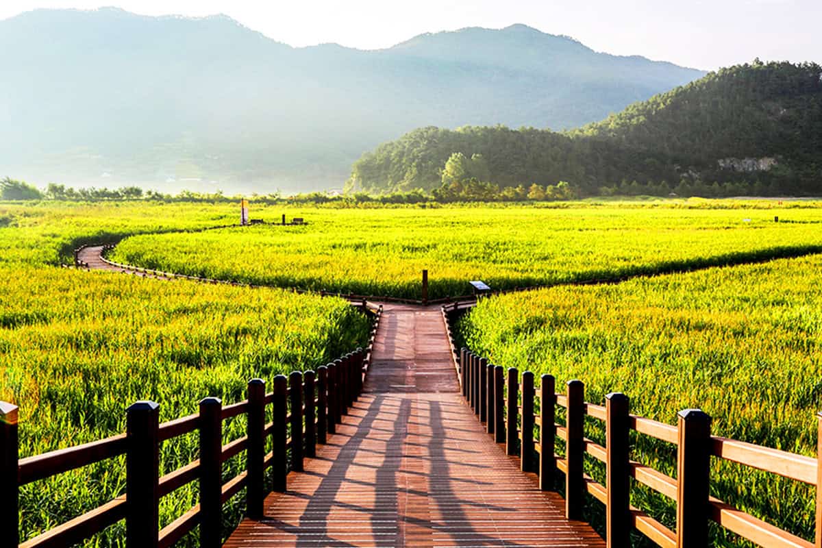 순천만습지
