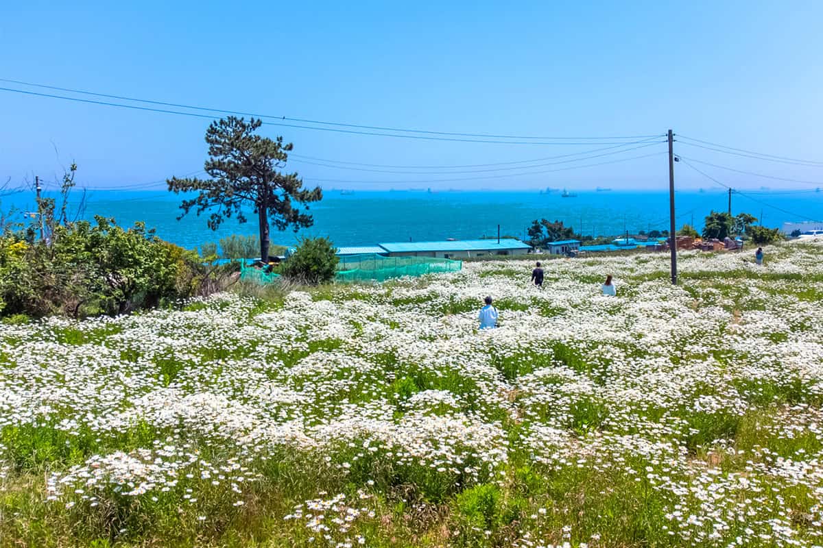 울산 슬도 울산 슬도