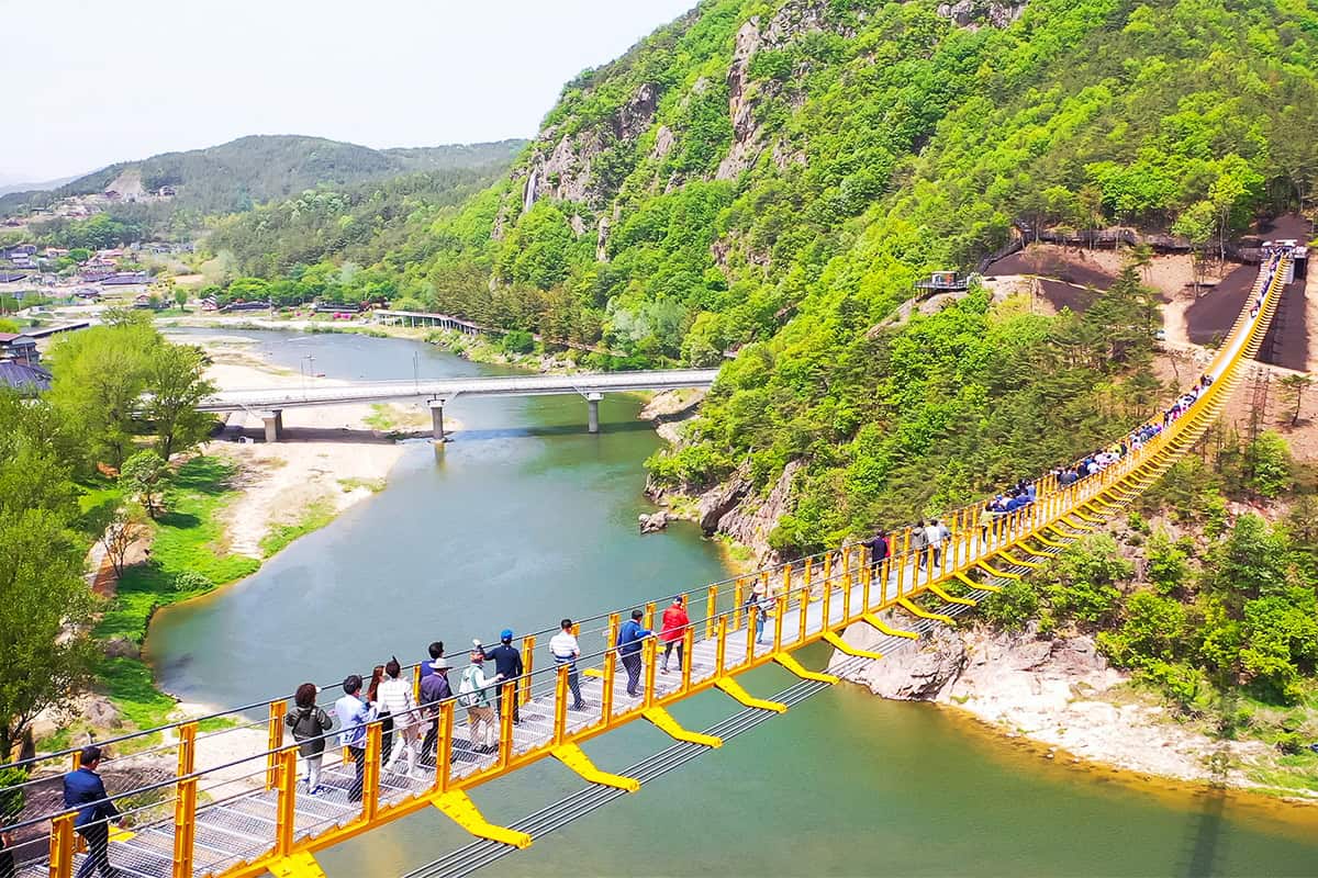 월영산 출렁다리 월영산 출렁다리