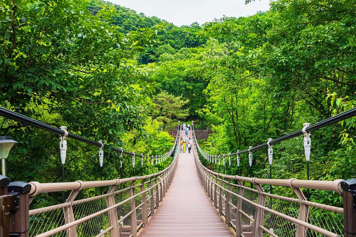 연천 재인폭포 출렁다리 모습 연천 재인폭포 출렁다리 모습