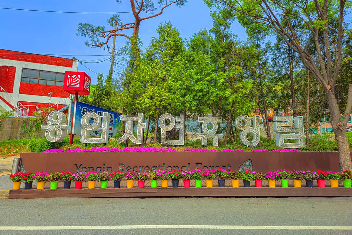용인 자연휴양림 용인 자연휴양림