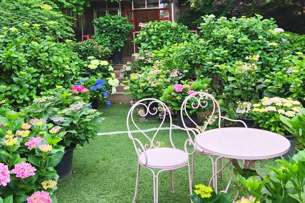 율봄식물원 수국길 포토스팟 율봄식물원 수국길 포토스팟