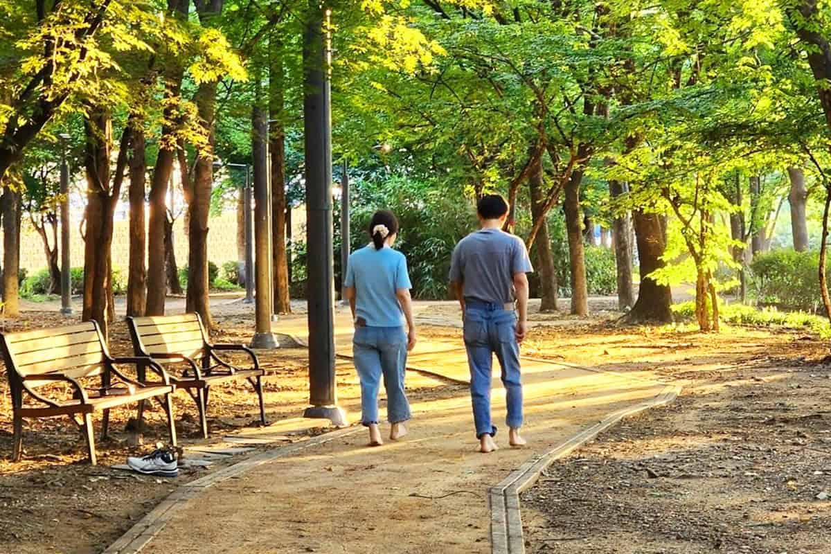 반포근린공원 맨발 황톳길 반포근린공원 맨발 황톳길