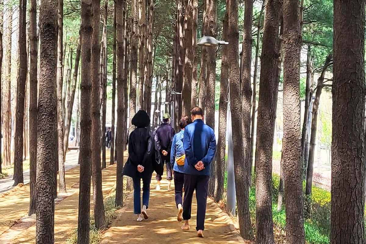 경춘선숲길 맨반길 경춘선숲길 맨반길