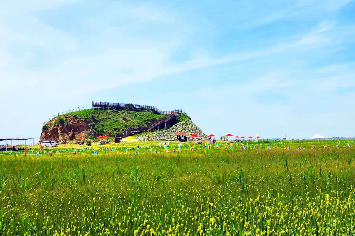 김제 지난 진봉 새만금 보리밭 축제 현장