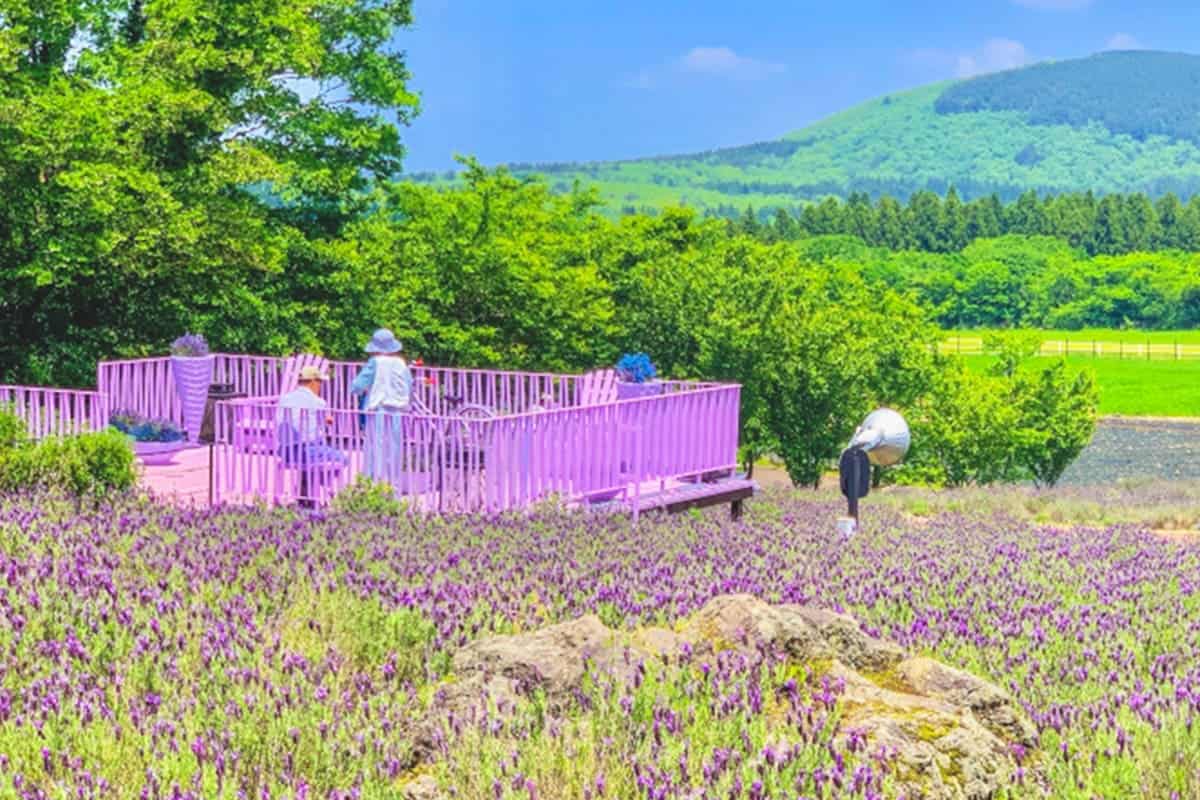 에코랜드 테마파크