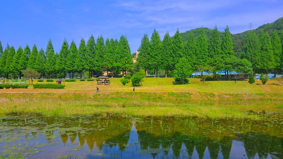 공주 정안천