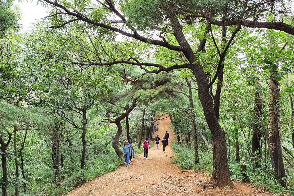 서대문구 백련산 산행 서대문구 백련산 산행