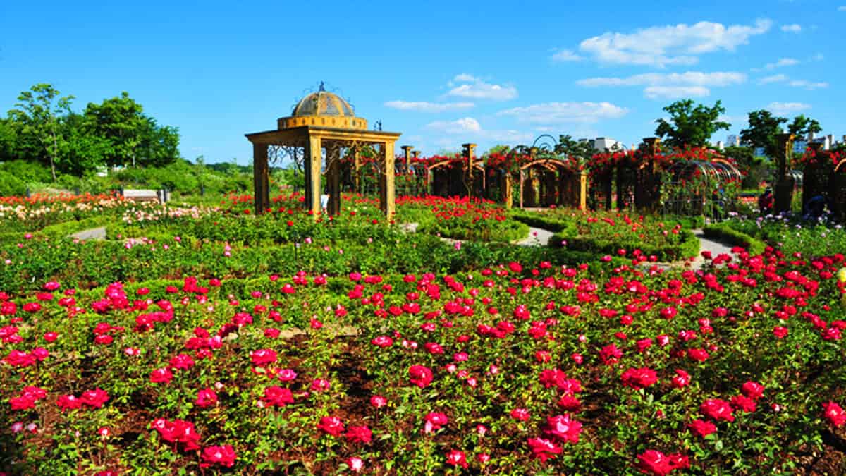 대전 한밭수목원