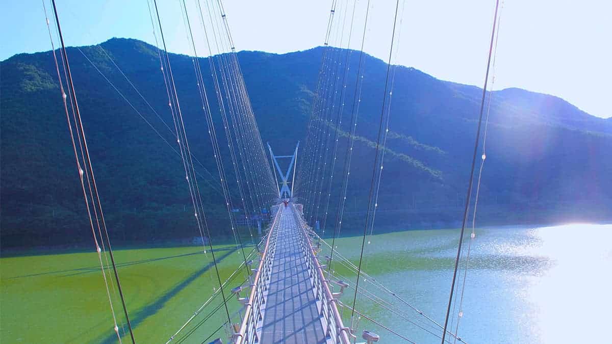 영천 출렁다리 전경 영천 출렁다리 전경