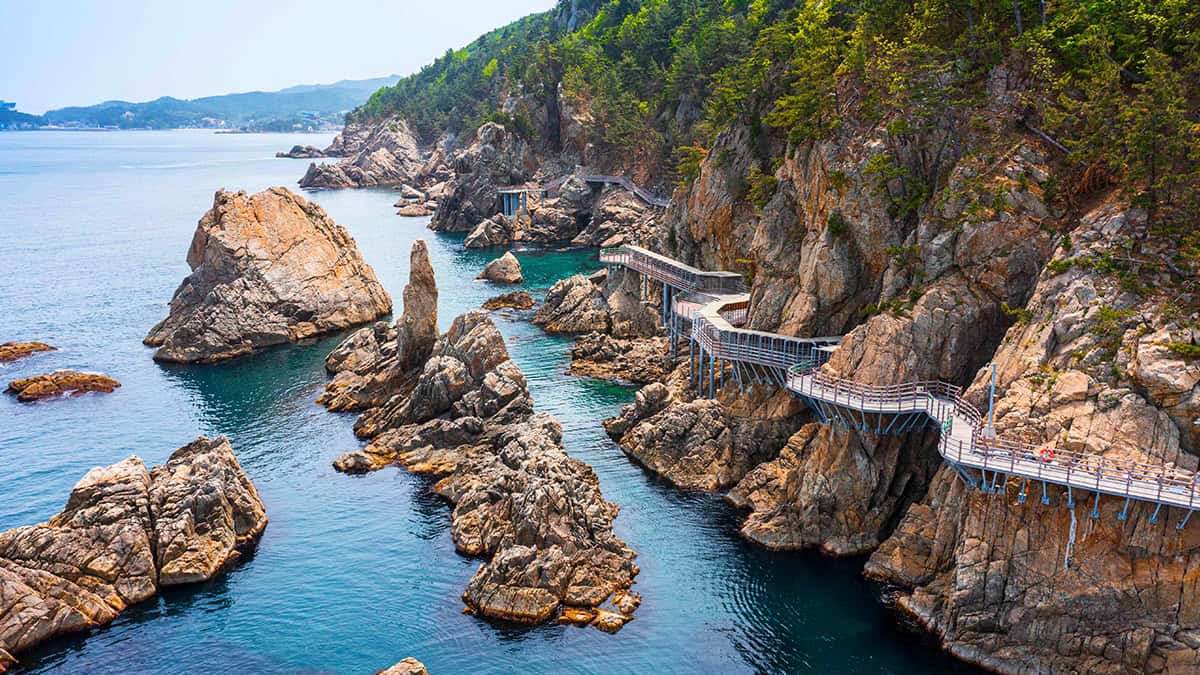 산척 촛대바위 길