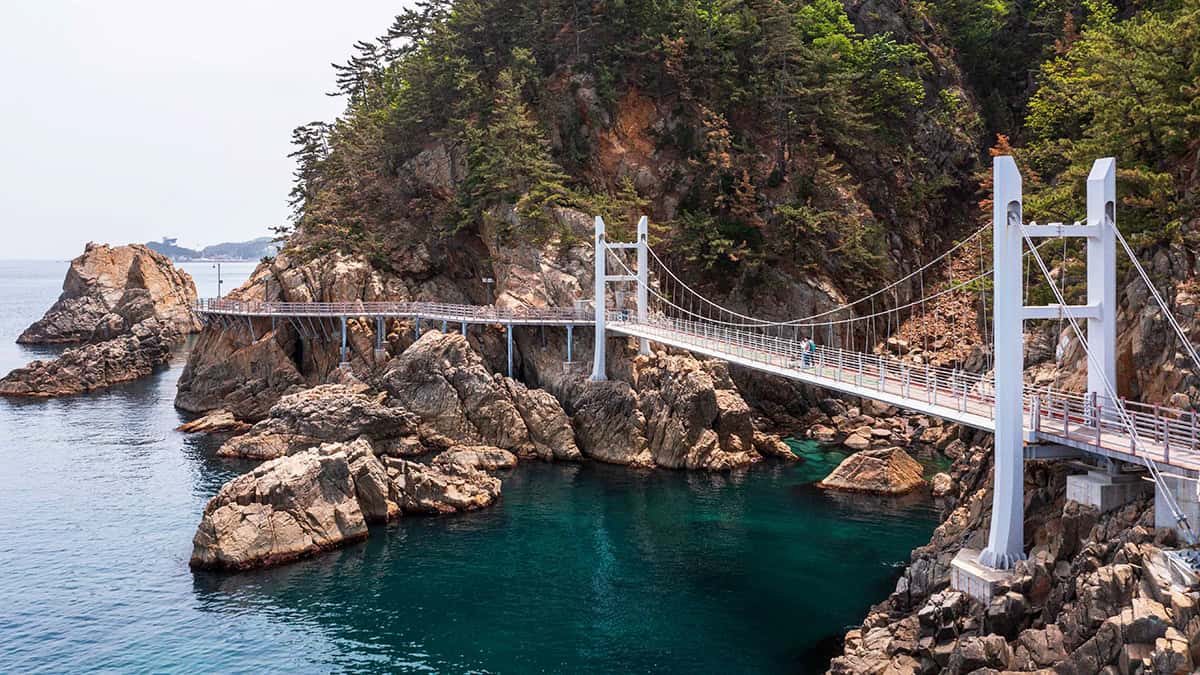 삼척 촛대바위 출렁다리