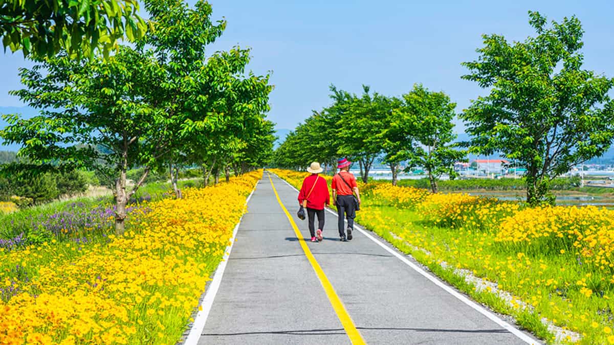 대산문화체육공원 산책길 대산문화체육공원 산책길