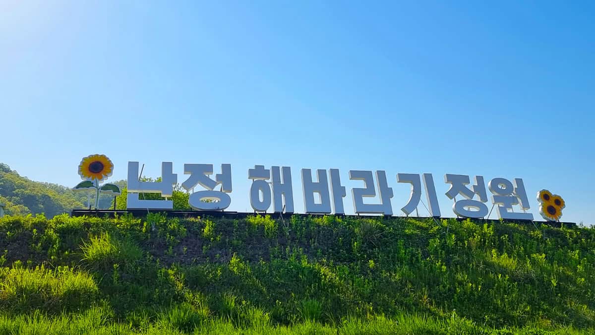 난정 해바라기정원 난정 해바라기정원