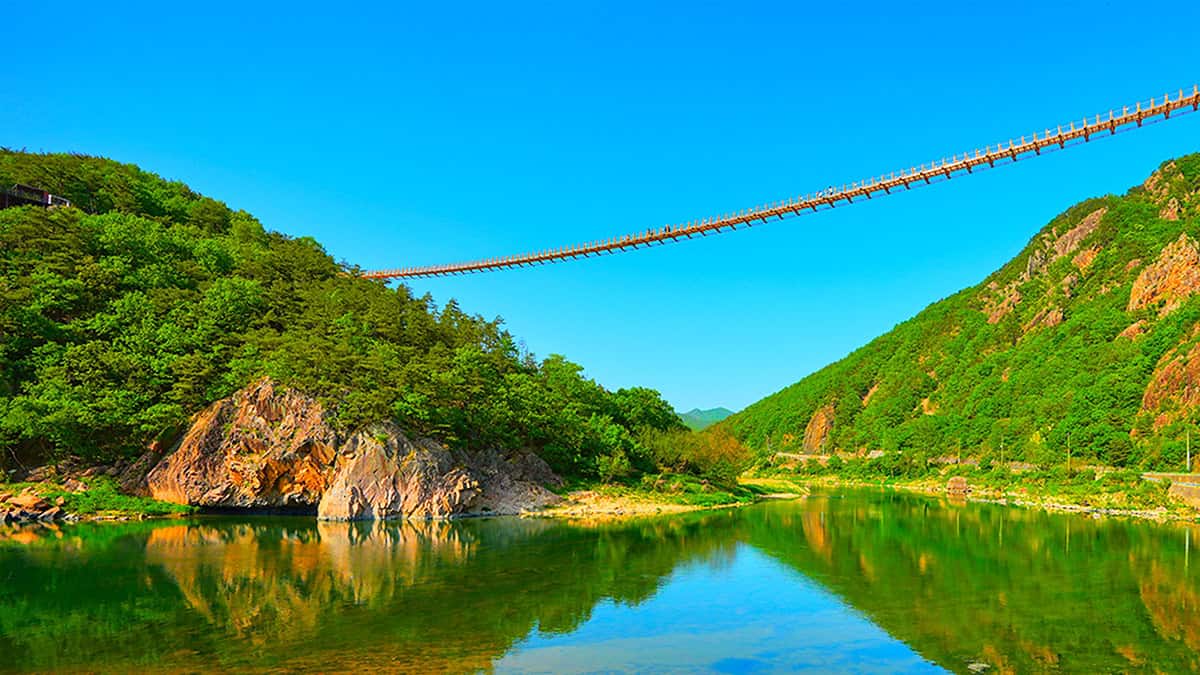 금산 월영산 출렁다리 전경