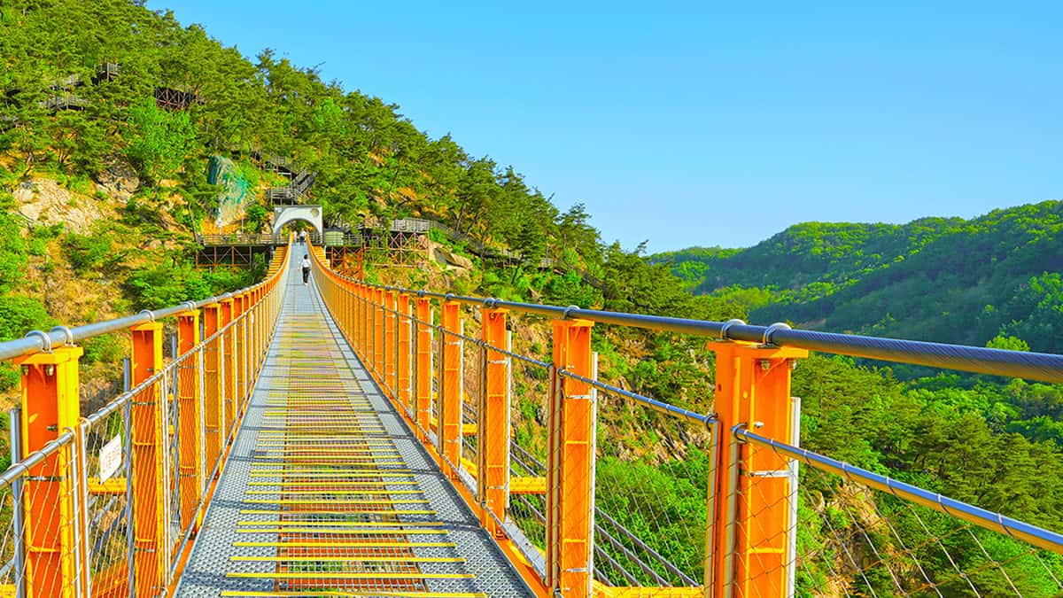 월영산 출렁다리