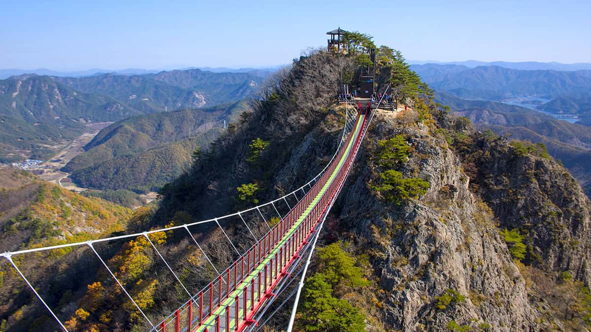 구봉산 출렁다리 구봉산 출렁다리