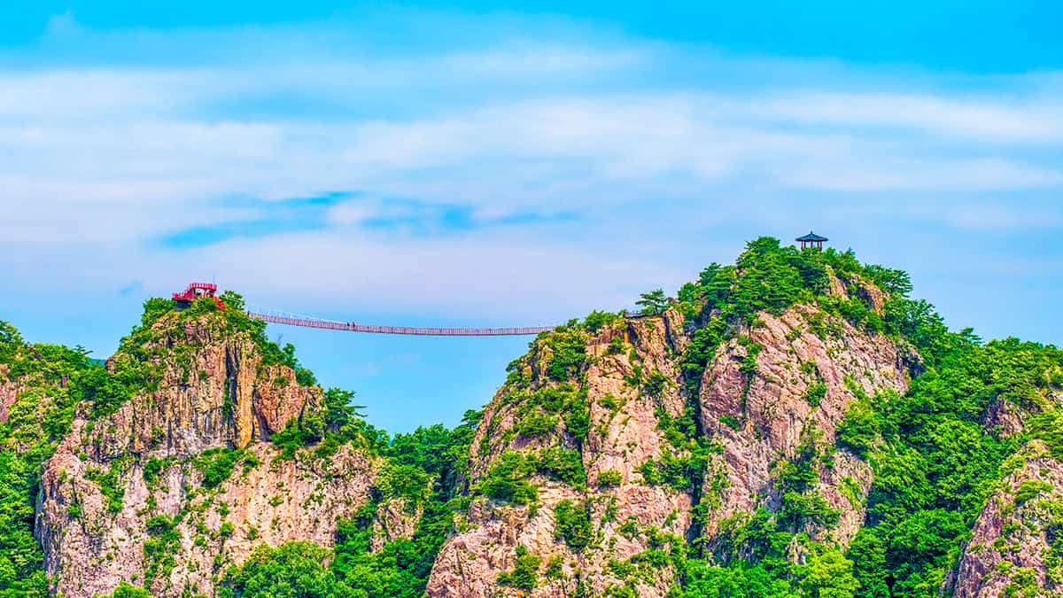구봉산 출렁다리 전경 구봉산 출렁다리 전경