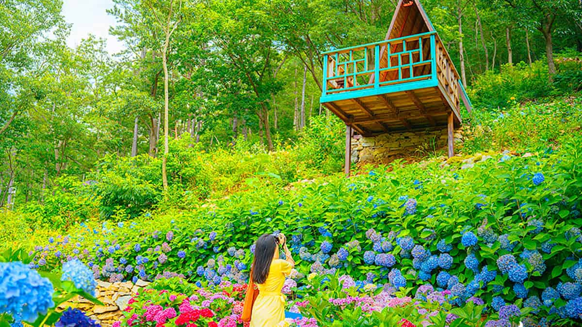 포레스트 수목원 포레스트 수목원