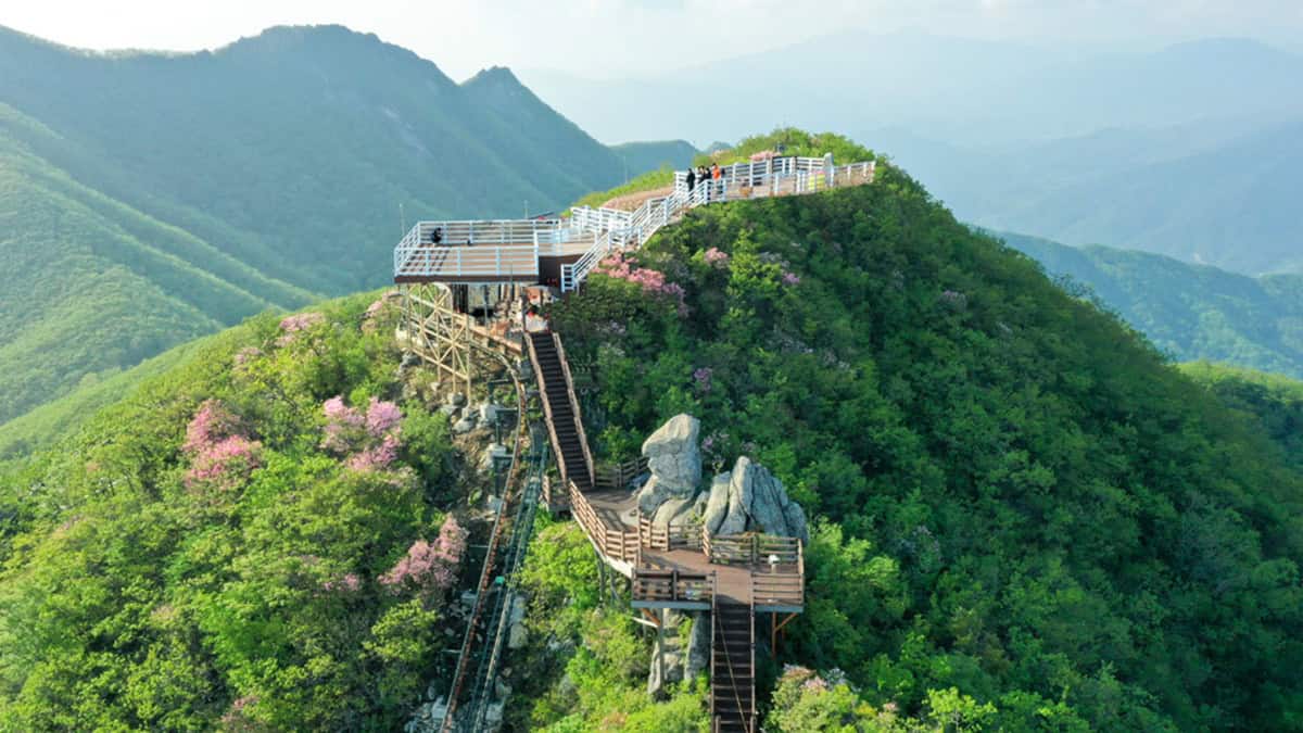 대봉산 전경 대봉산 전경