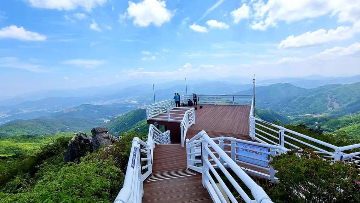 대봉산 정상 대봉산 정상