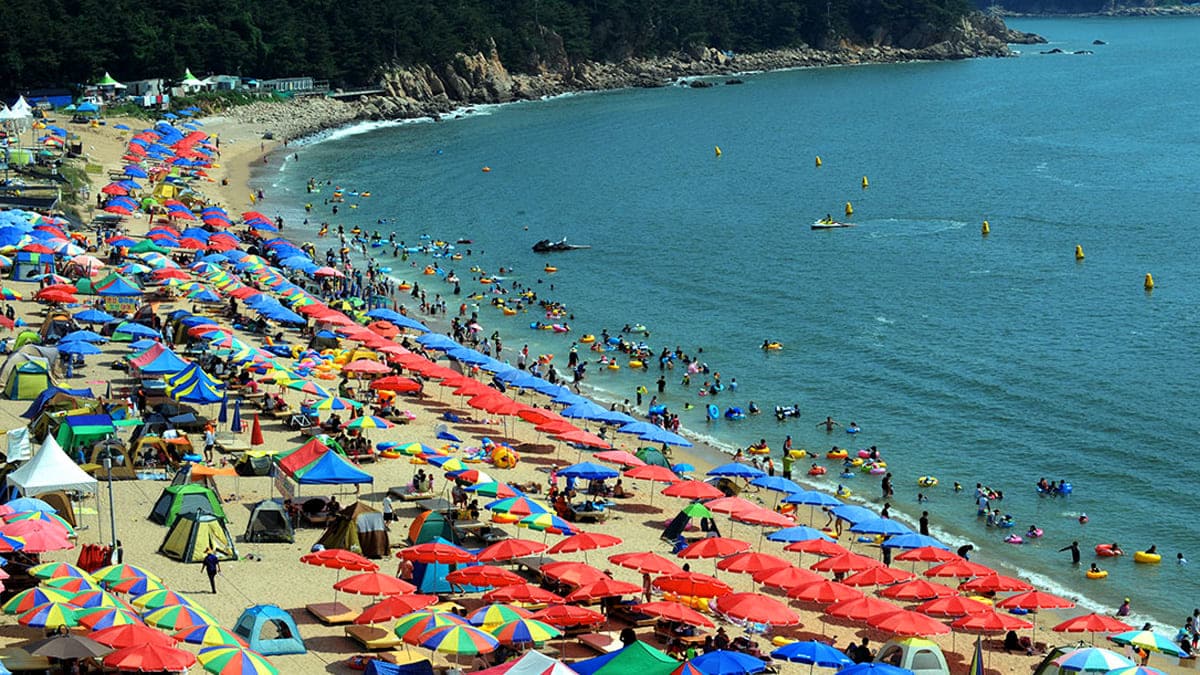 인천 왕산해수욕장 인천 왕산해수욕장