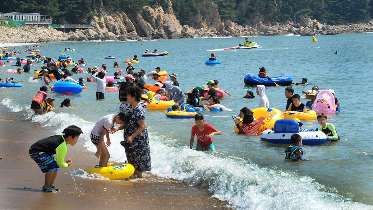 왕산해수욕장 피서객 왕산해수욕장 피서객