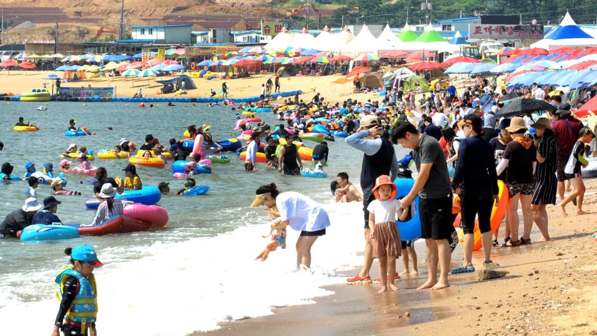 왕산해수욕장 개장 왕산해수욕장 개장