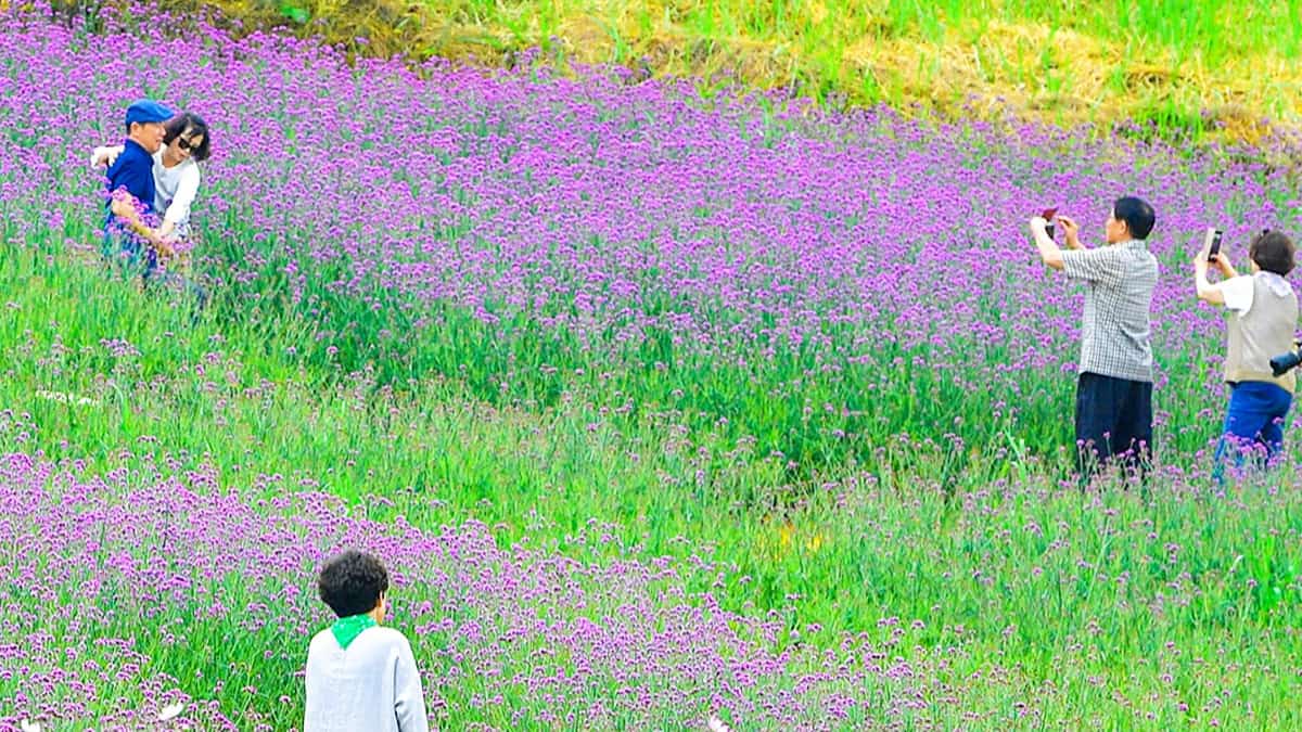장성 램프공원 장성 램프공원