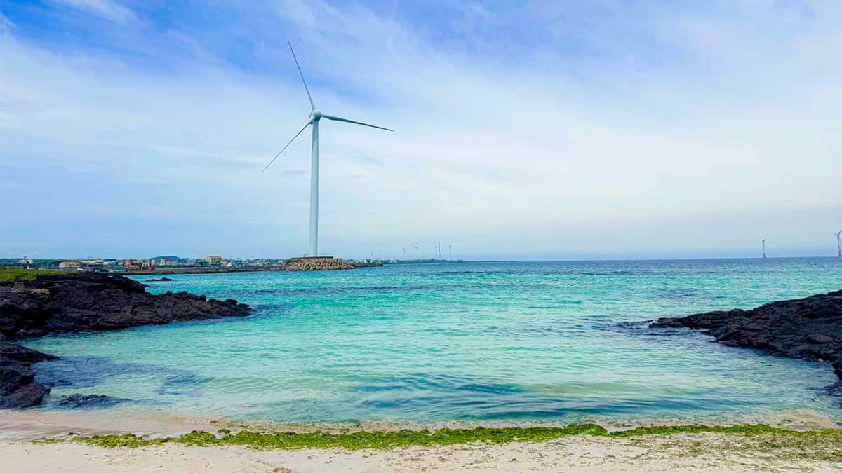 제주 코난해변 풍차 제주 코난해변 풍차
