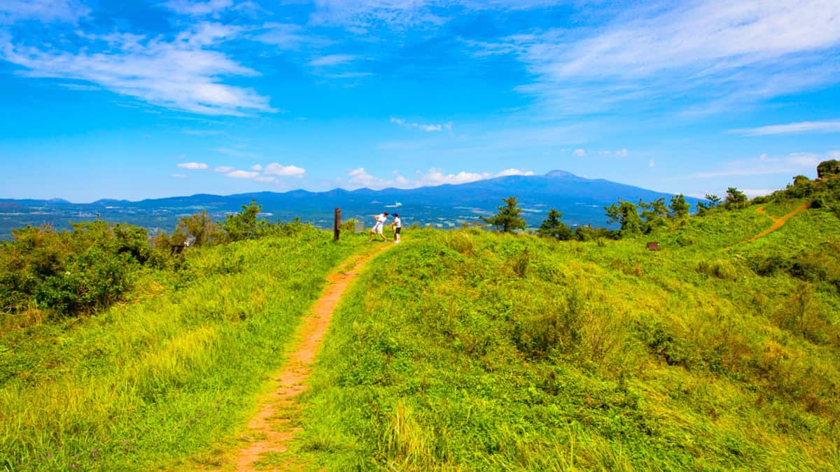 제주 군산오름 제주 군산오름