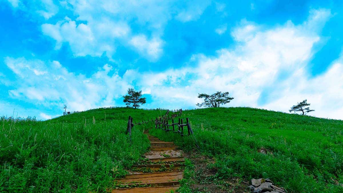 정선 민둥산 정선 민둥산