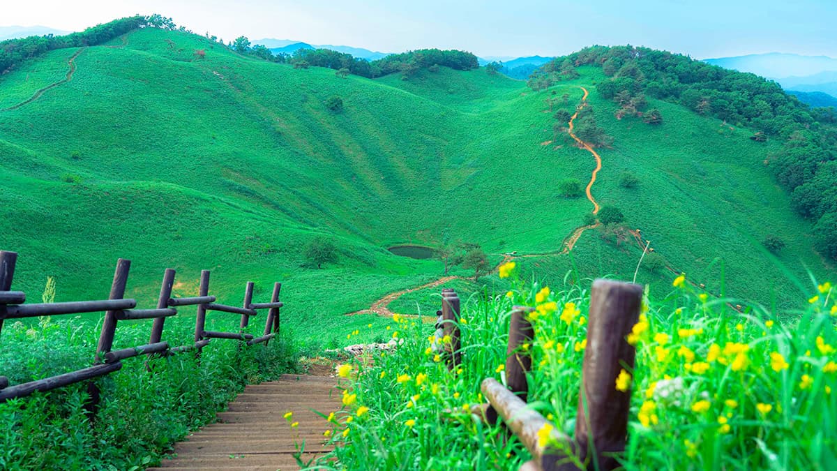 정선 민둥산 트레킹코스 정선 민둥산 트레킹코스