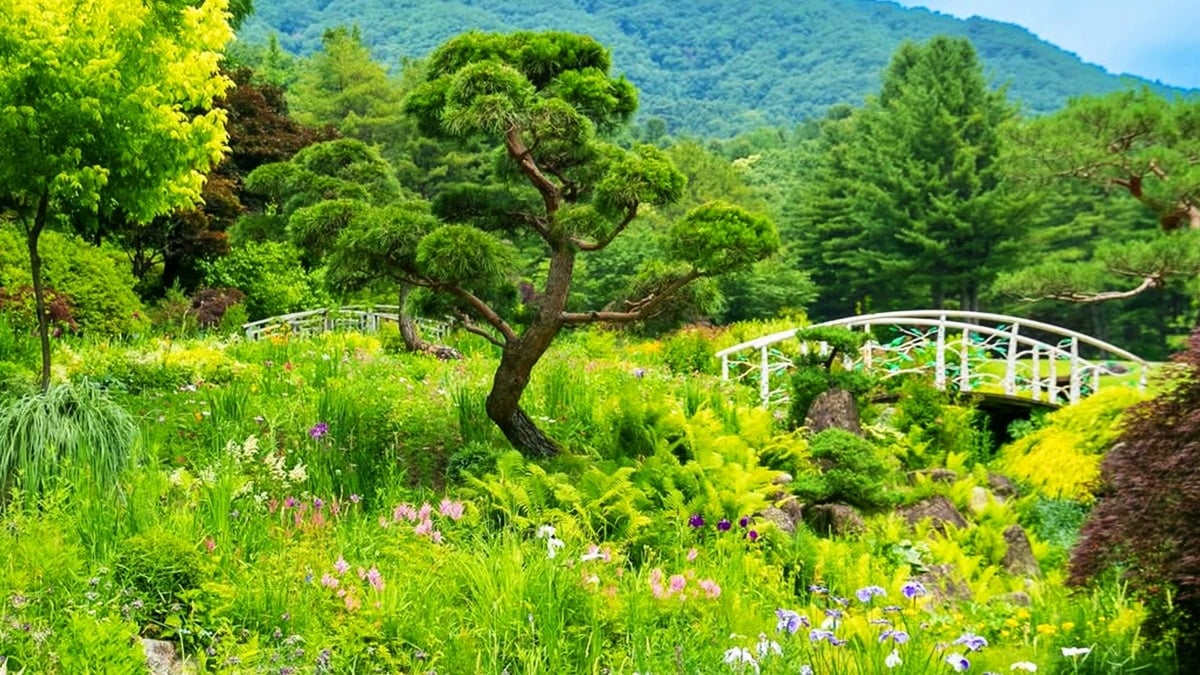 아침고요수목원 전경 아침고요수목원 전경