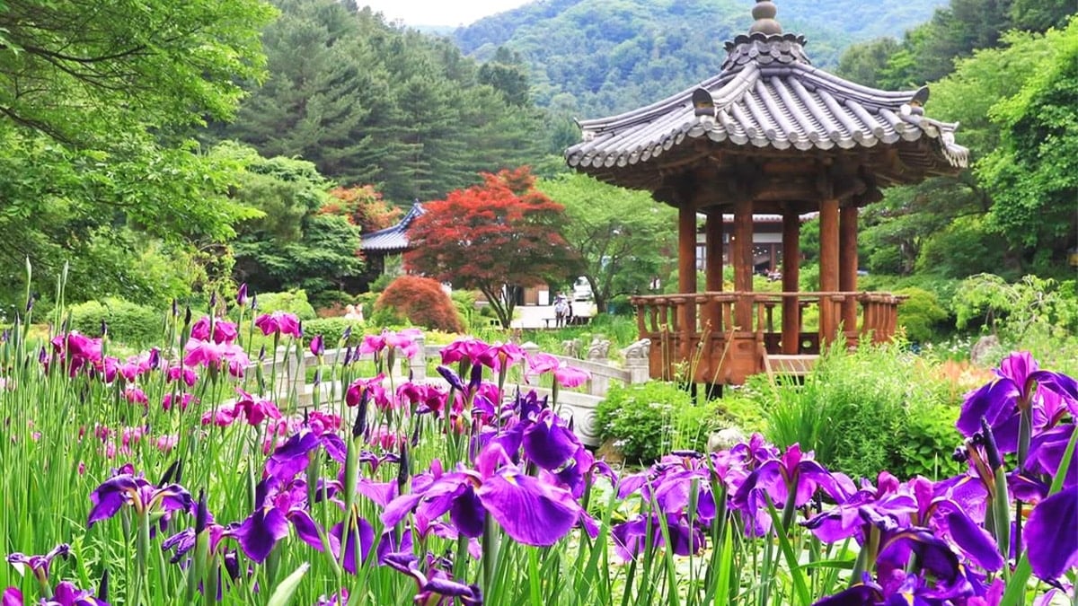 아침고요수목원 아침고요수목원