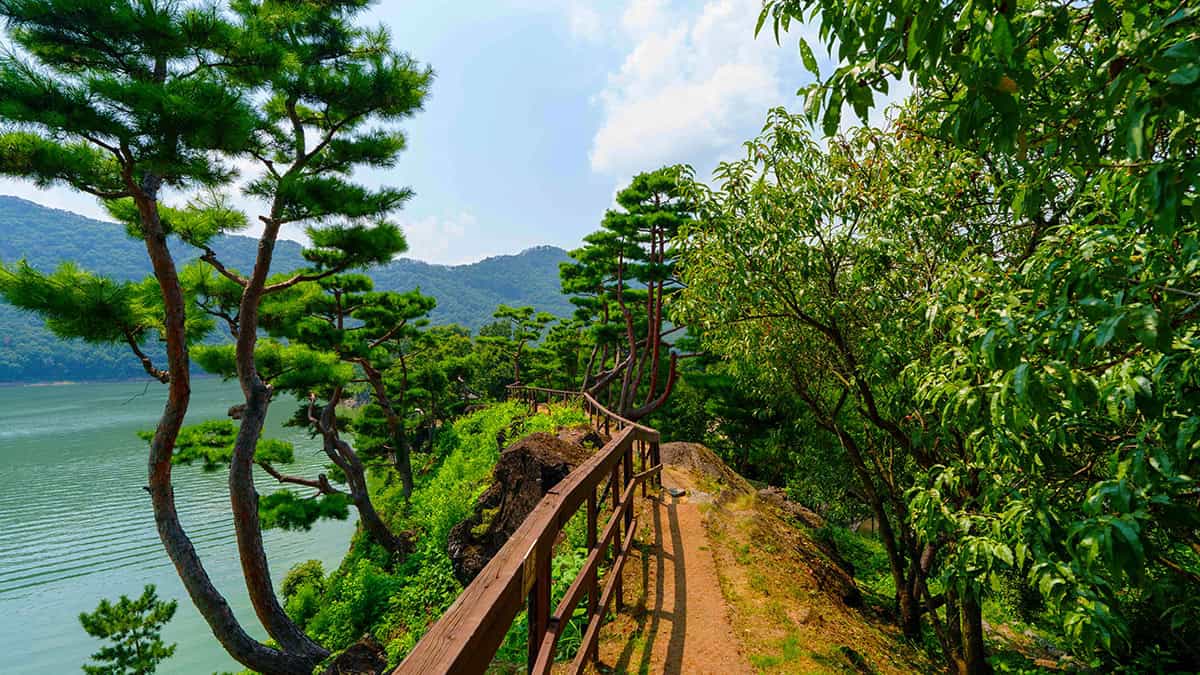 옥천 수생식물학습원 산책길 옥천 수생식물학습원 산책길