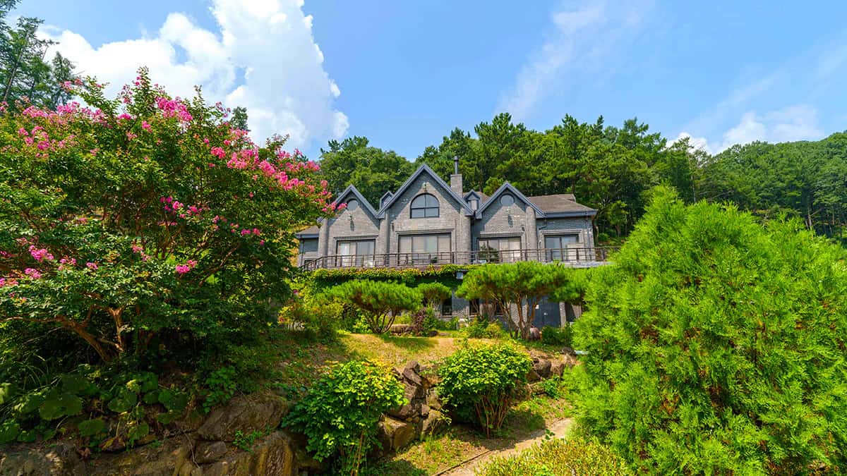 수생식물학습원 여행 수생식물학습원 여행