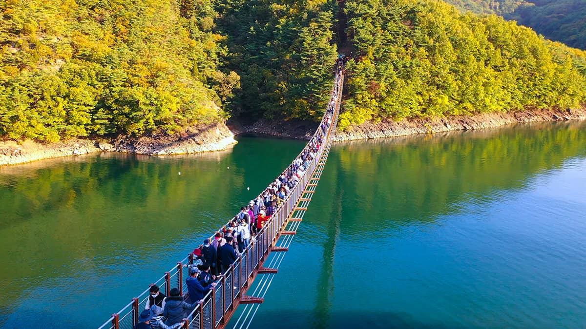 옥순봉 출렁다리 여행객