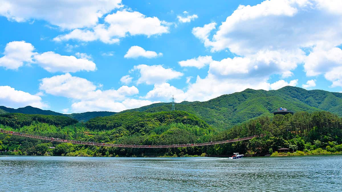 파주 출렁다리 전경