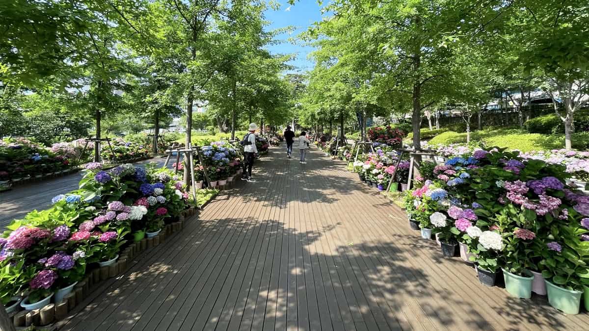 포항철길숲 오크광장