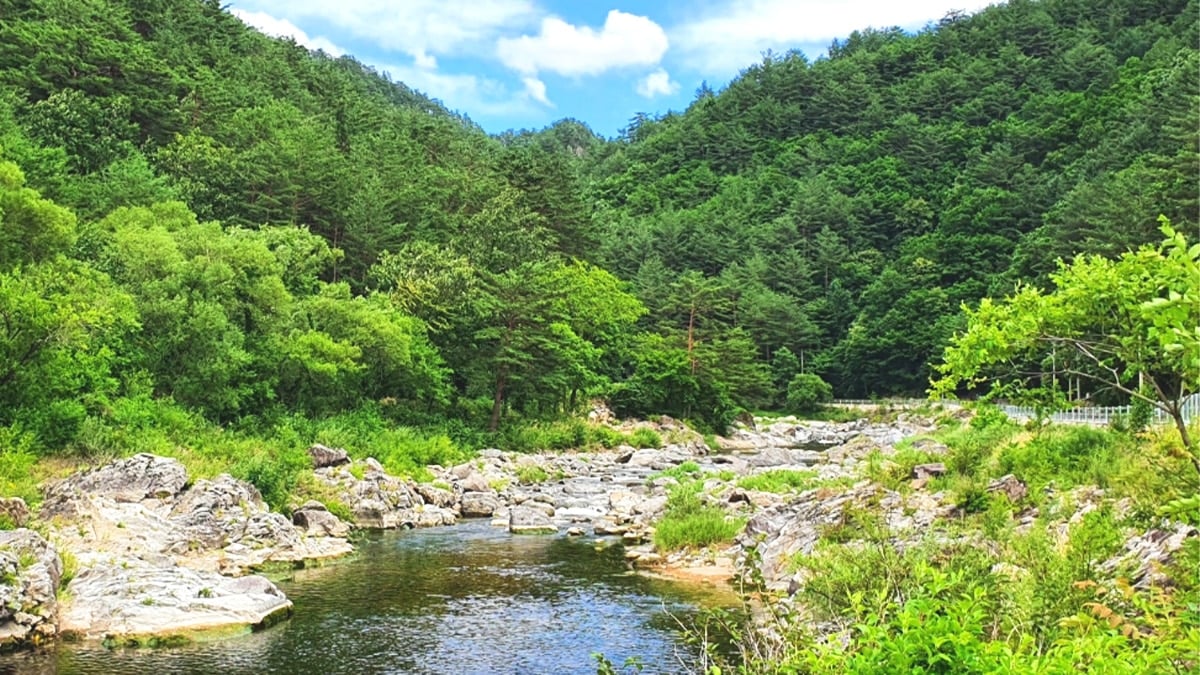 삼척 덕풍계곡 삼척 덕풍계곡