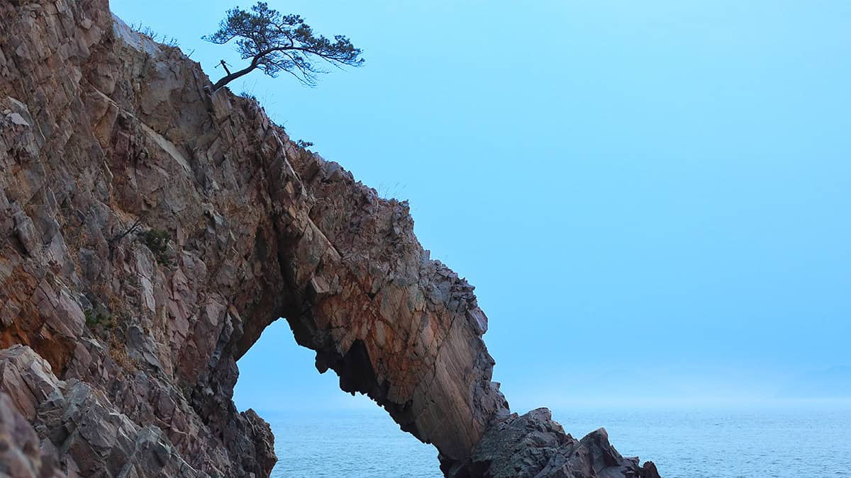 황금산 코끼리바위 황금산 코끼리바위