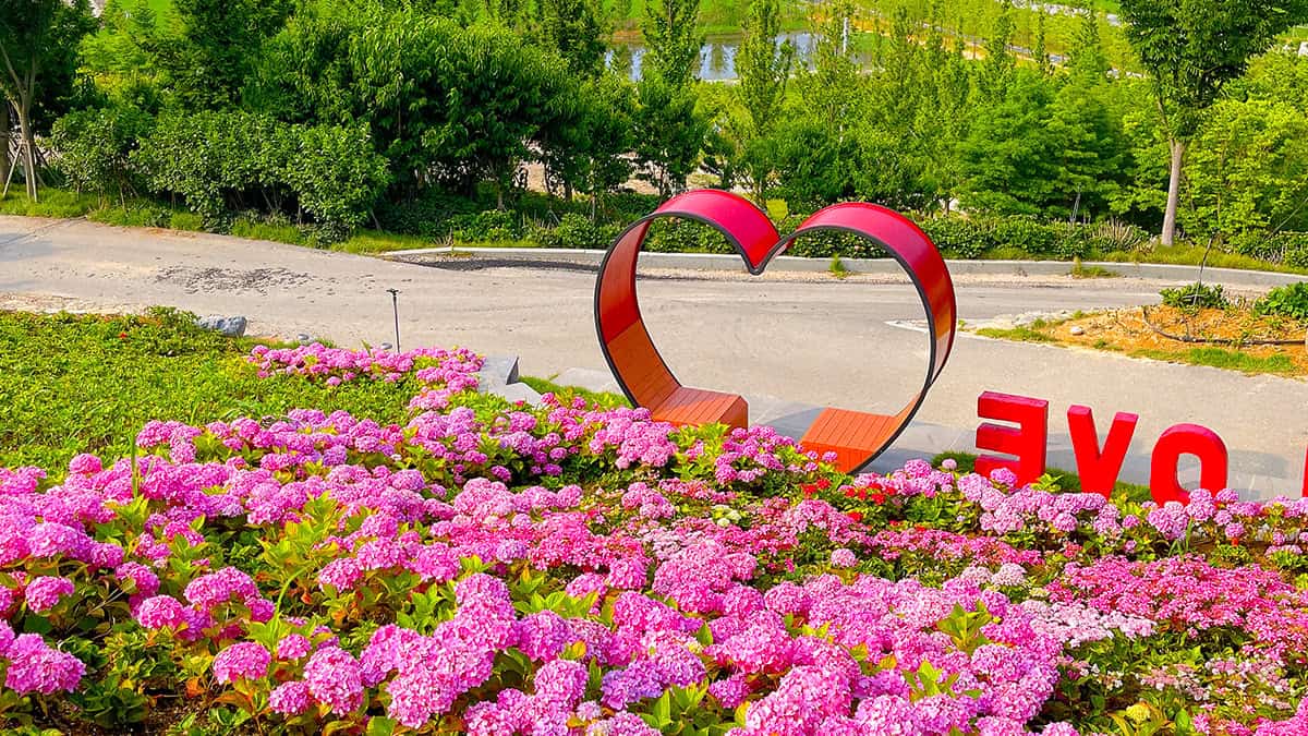 신안 수국 축제 하트 조형물