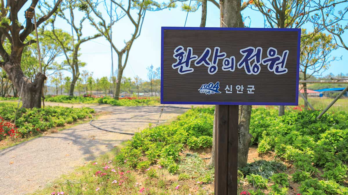 신안 환상의 정원 신안 환상의 정원