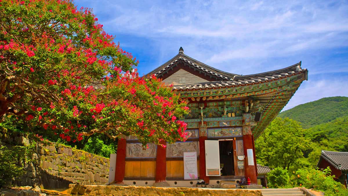 공주 신원사 공주 신원사
