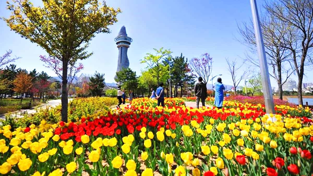 속초 청초호 호수공원 속초 청초호 호수공원