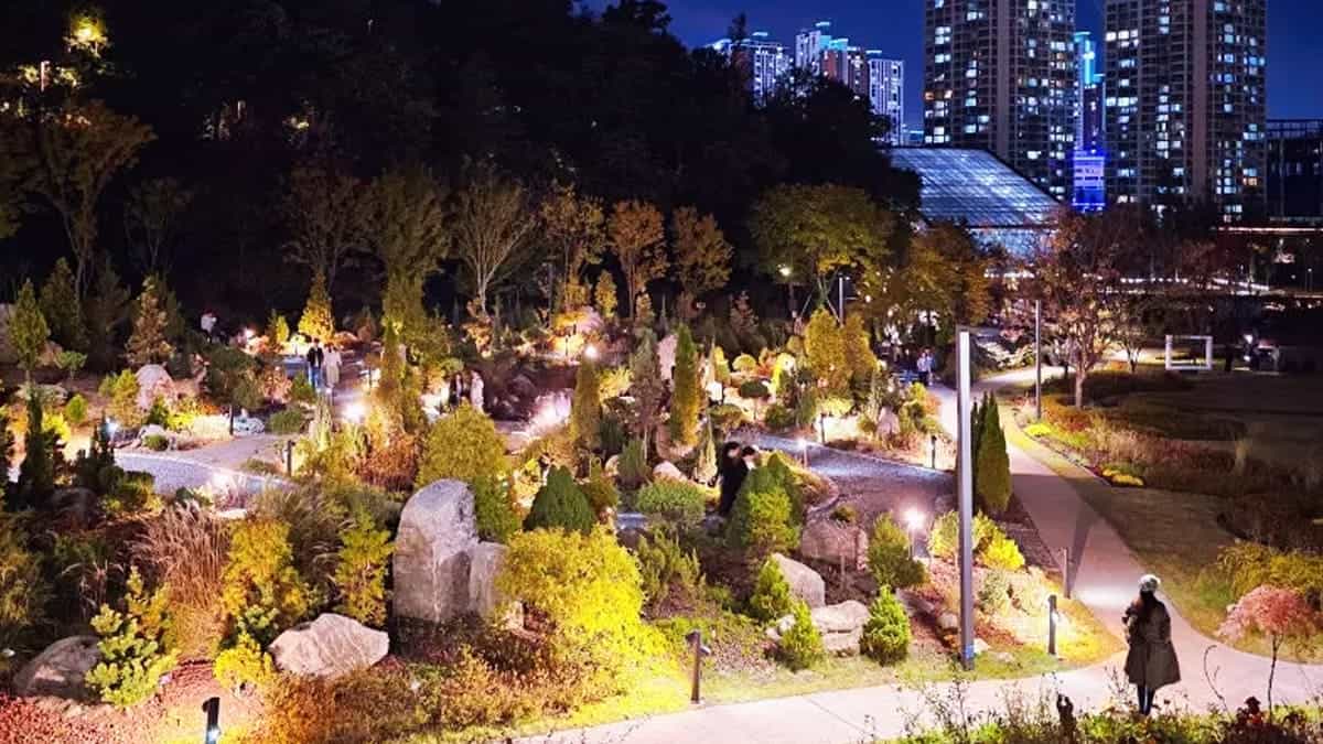 영흥수목원 영흥수목원